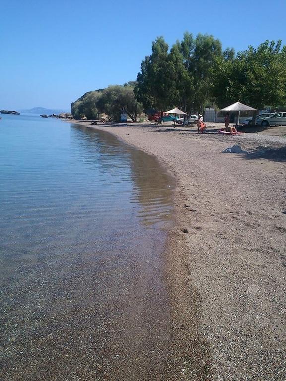 Evoikos Beach & Resort Livanátai 外观 照片