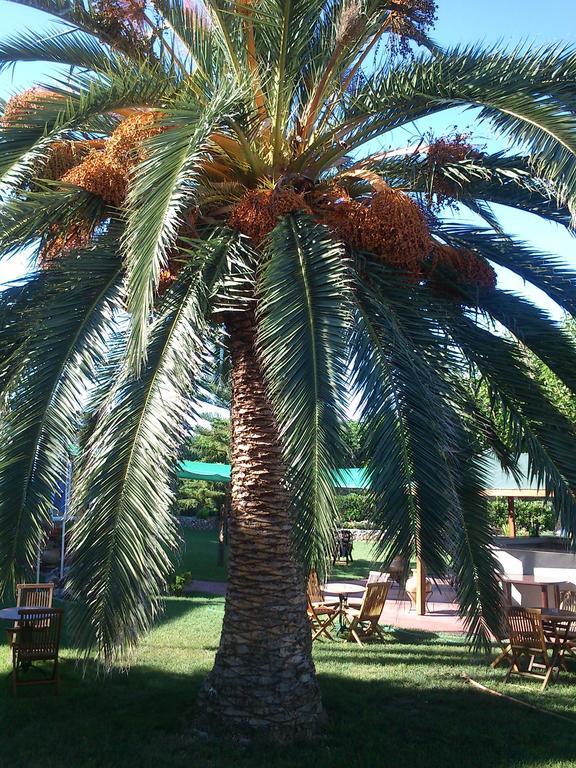 Evoikos Beach & Resort Livanátai 外观 照片